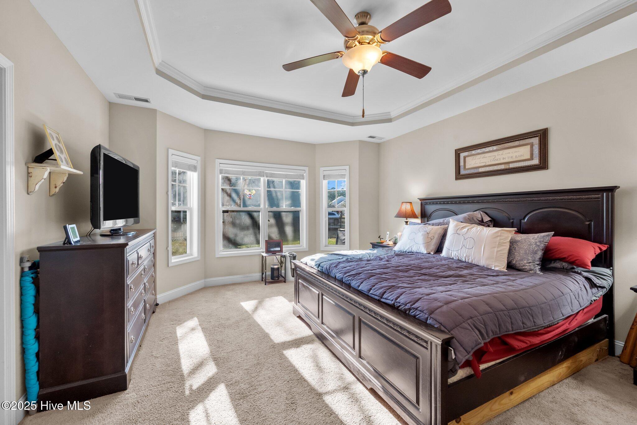 100488790 | Photo 19