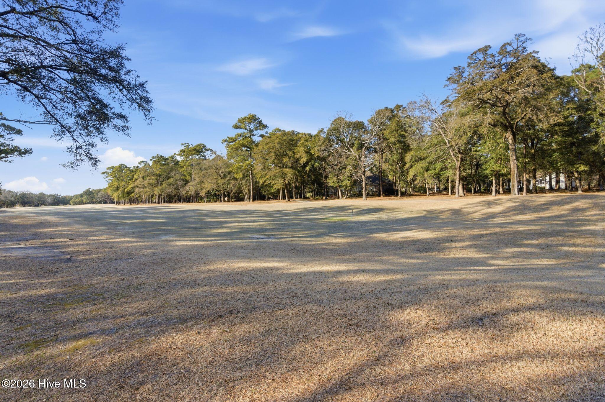 100555481 | Photo 63