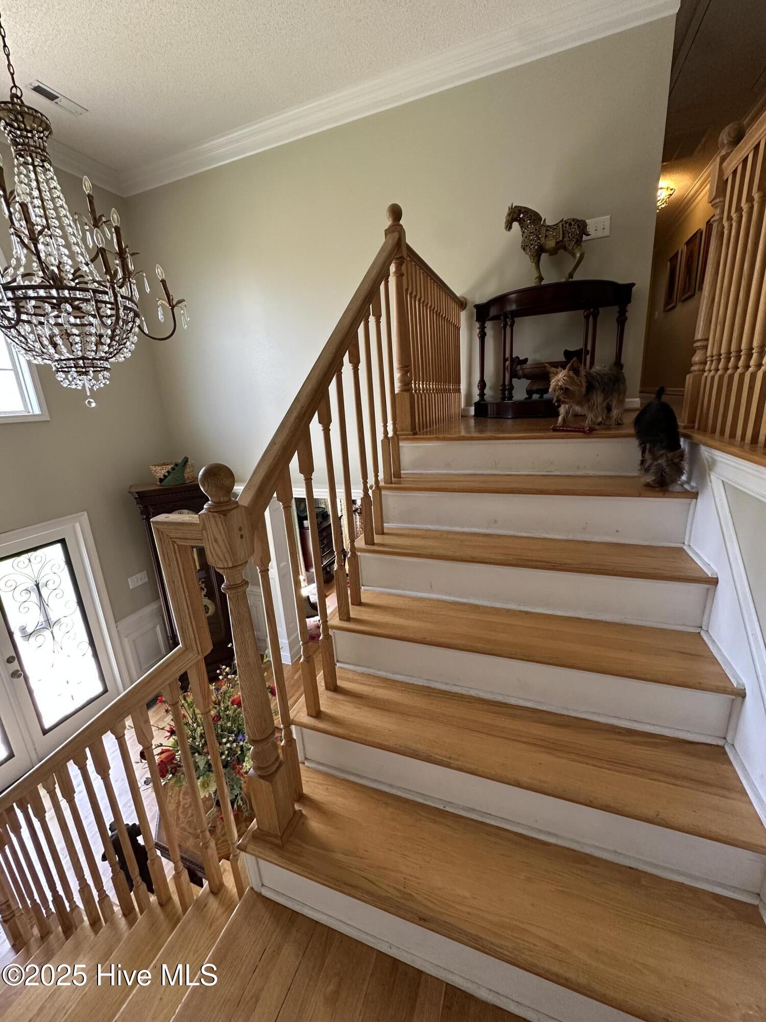 100514130 | Photo 52