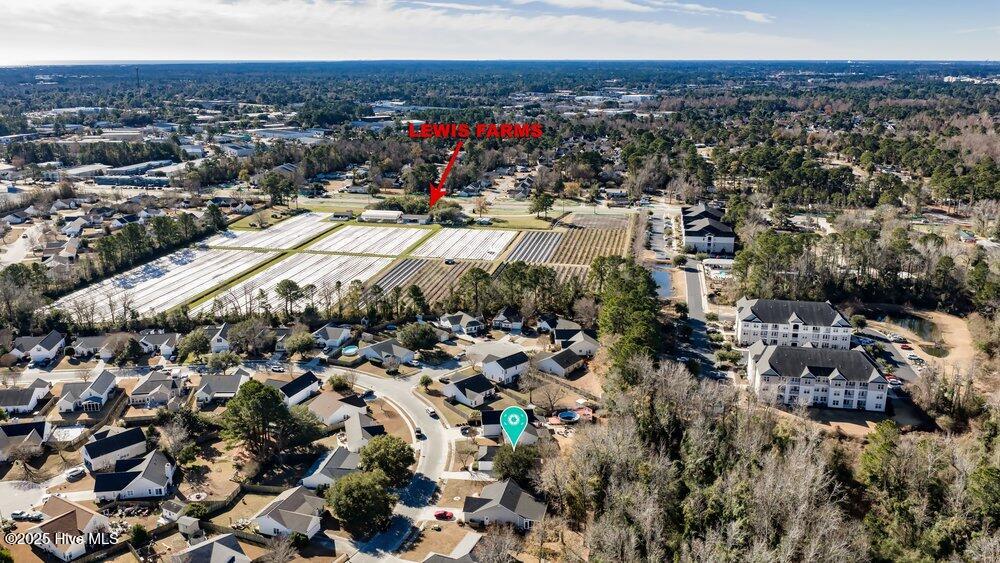 100547171 | Photo 41