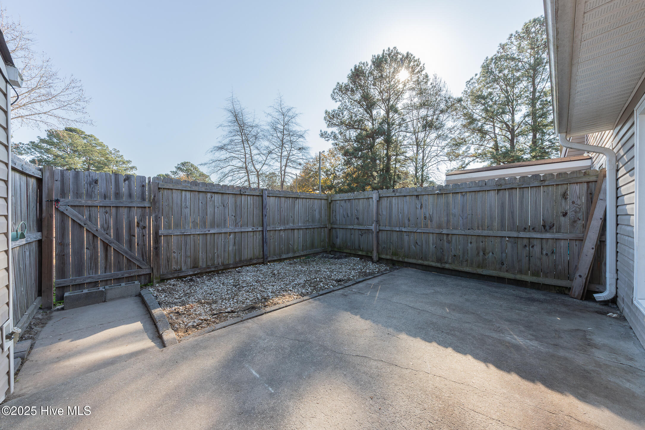 100546793 | Photo 30