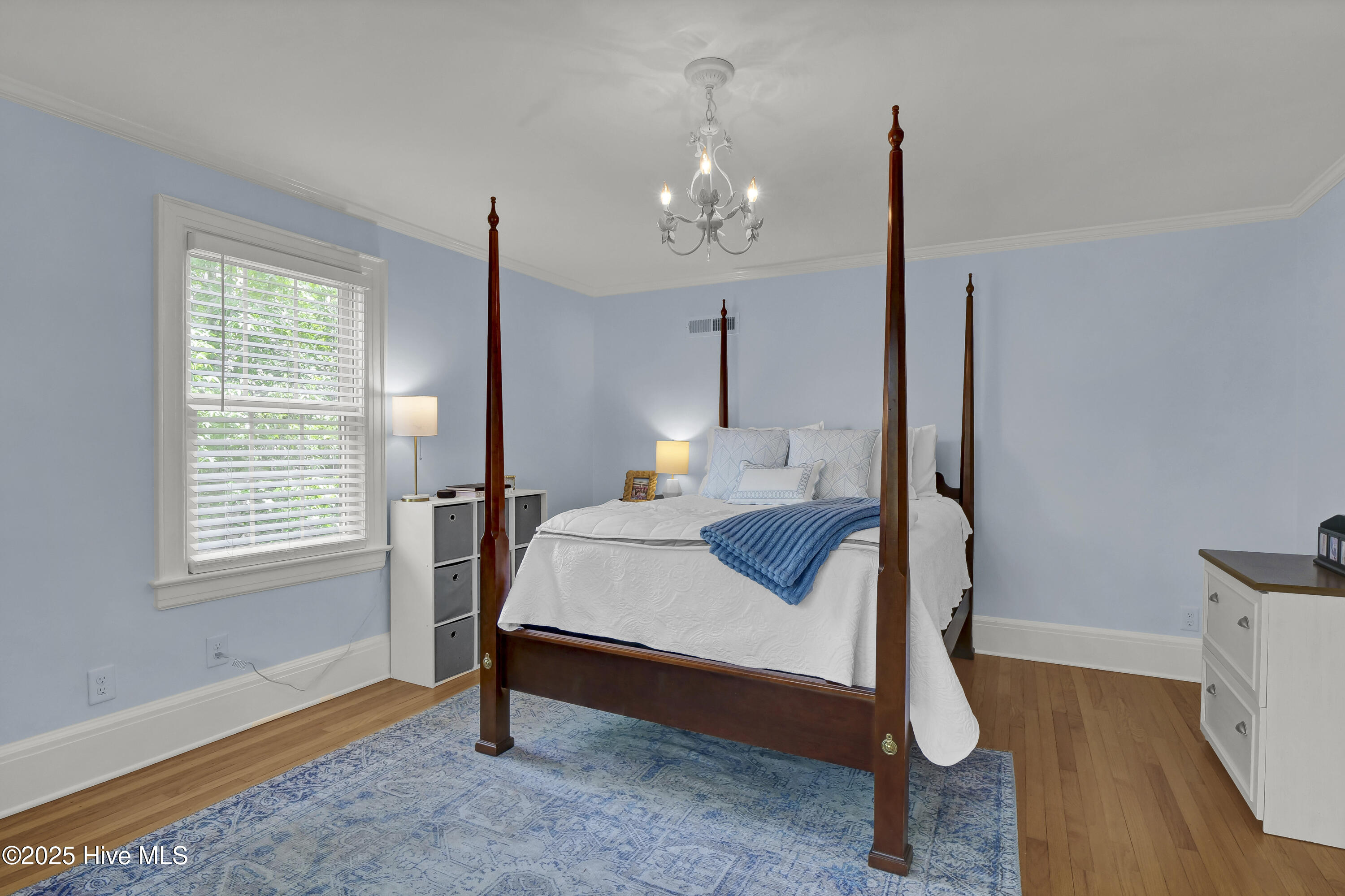 100557431 | Photo 22