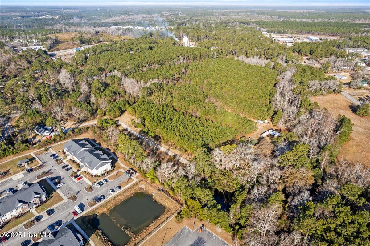 100488410 | Photo 13