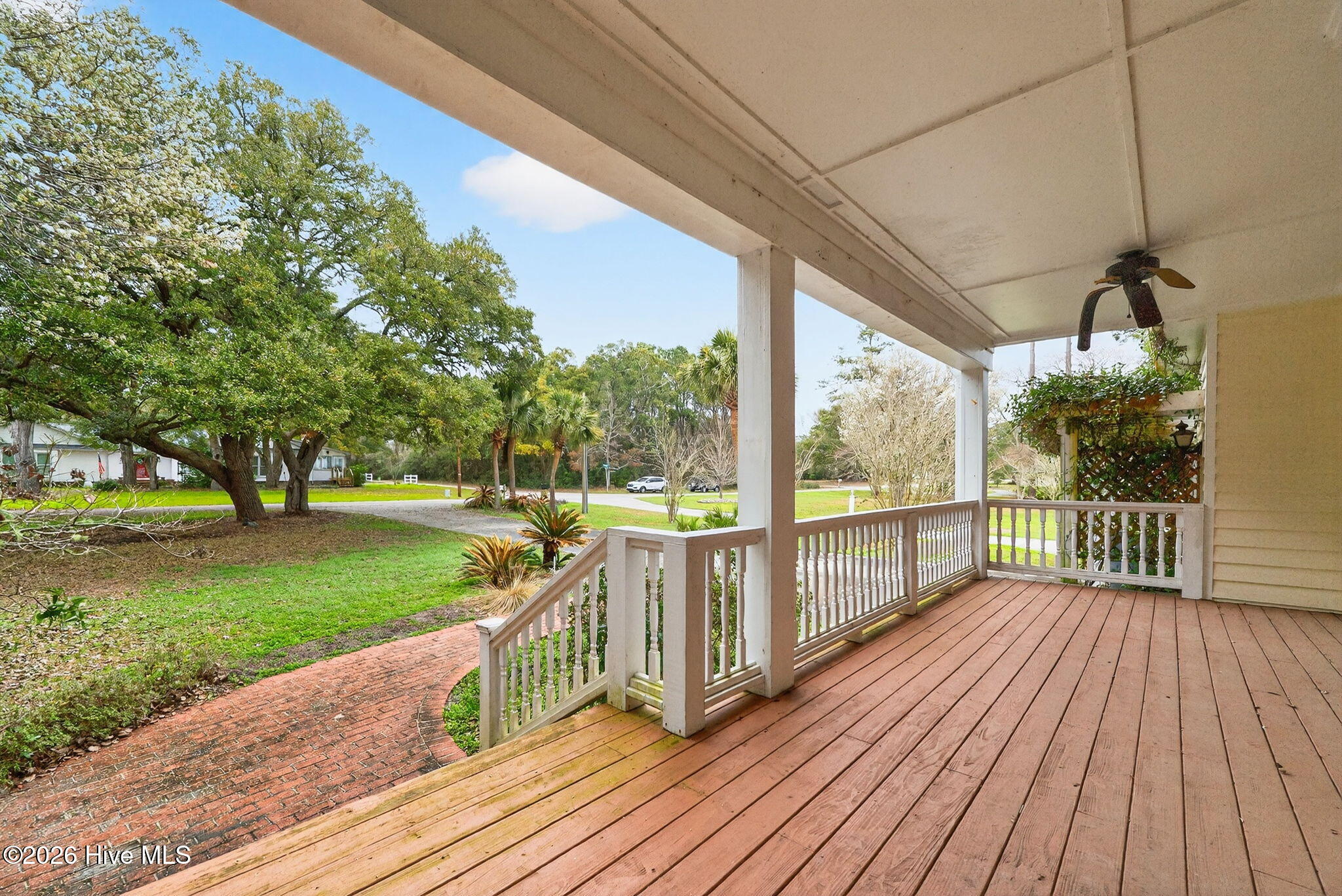 100559541 | Photo 13