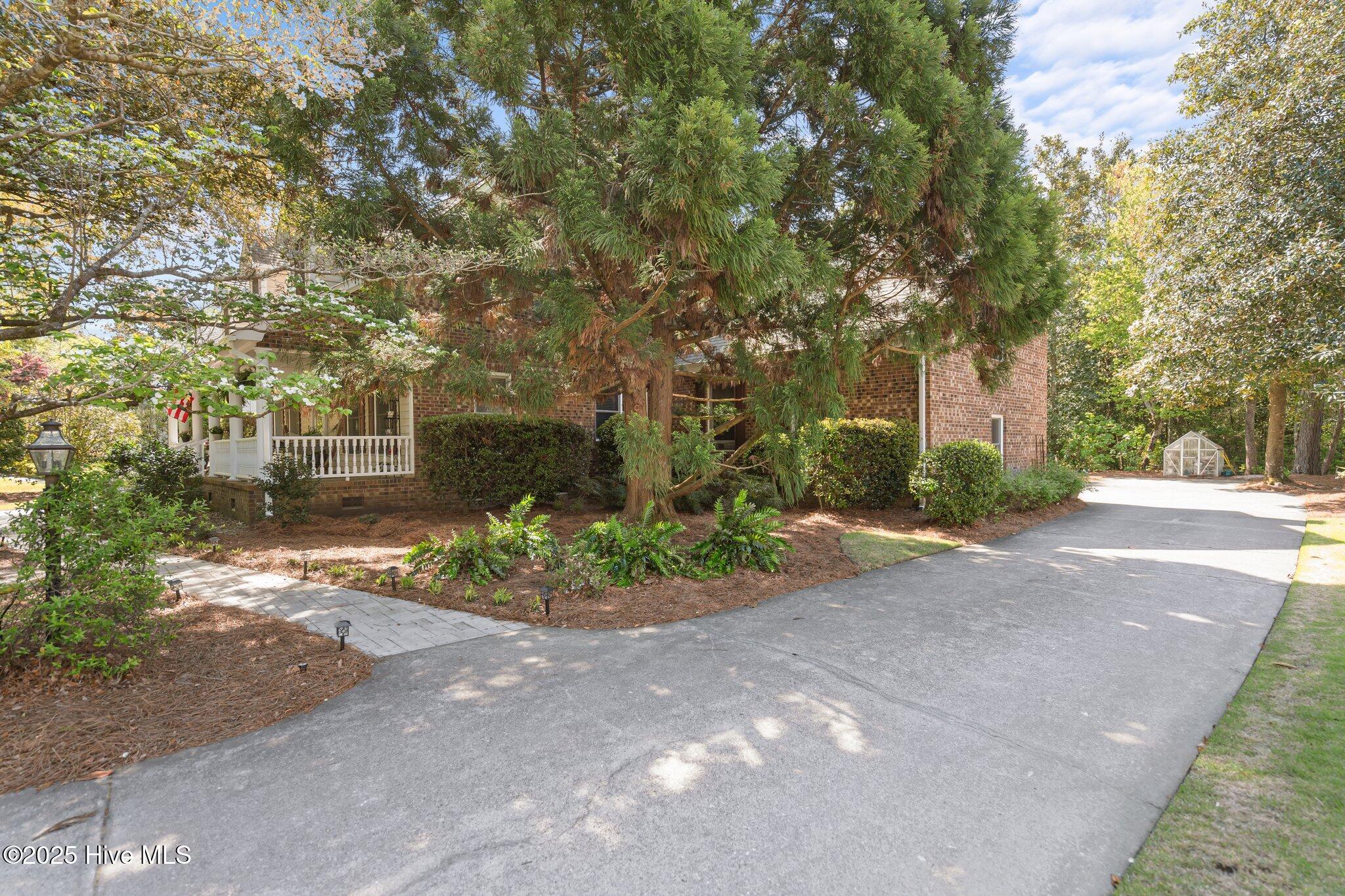 100507582 | Photo 53