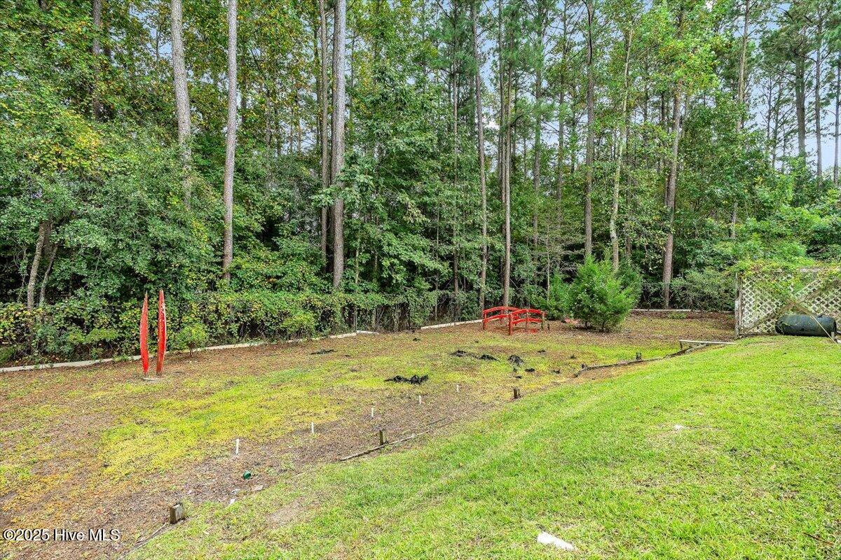 100534566 | Photo 96