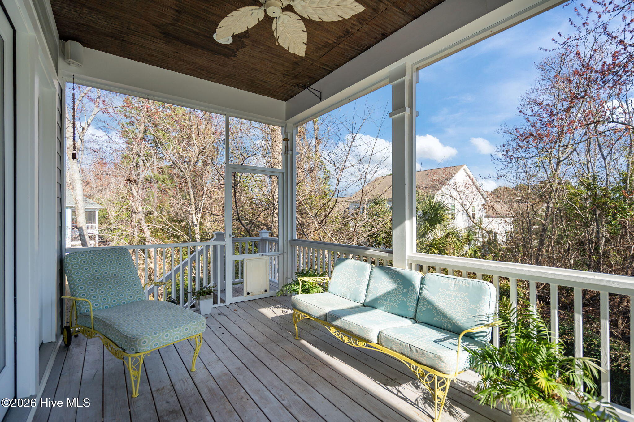 100559894 | Photo 46