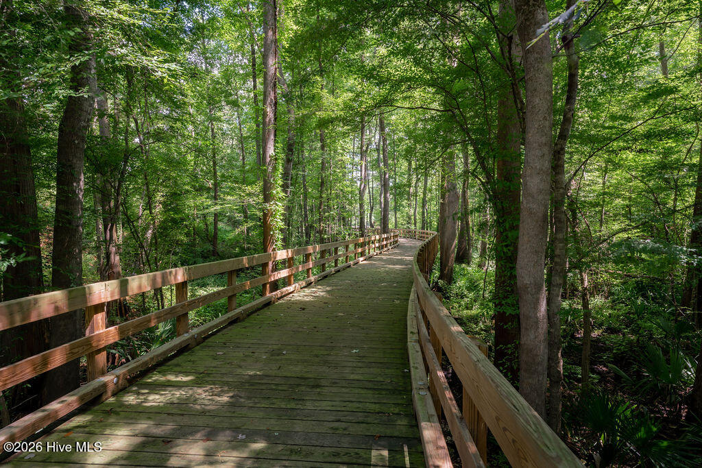 100558848 | Photo 49