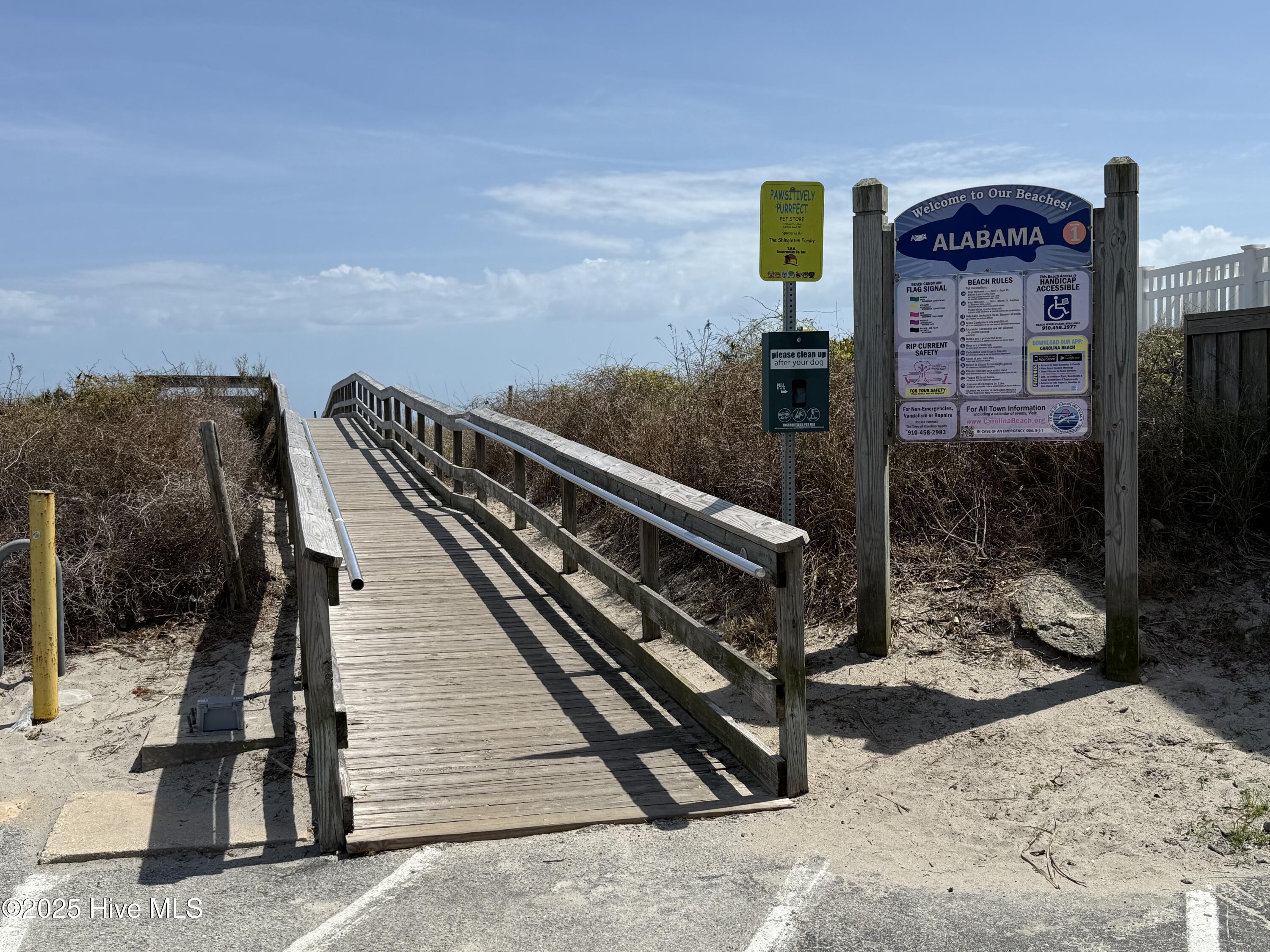 100498855 | Photo 46