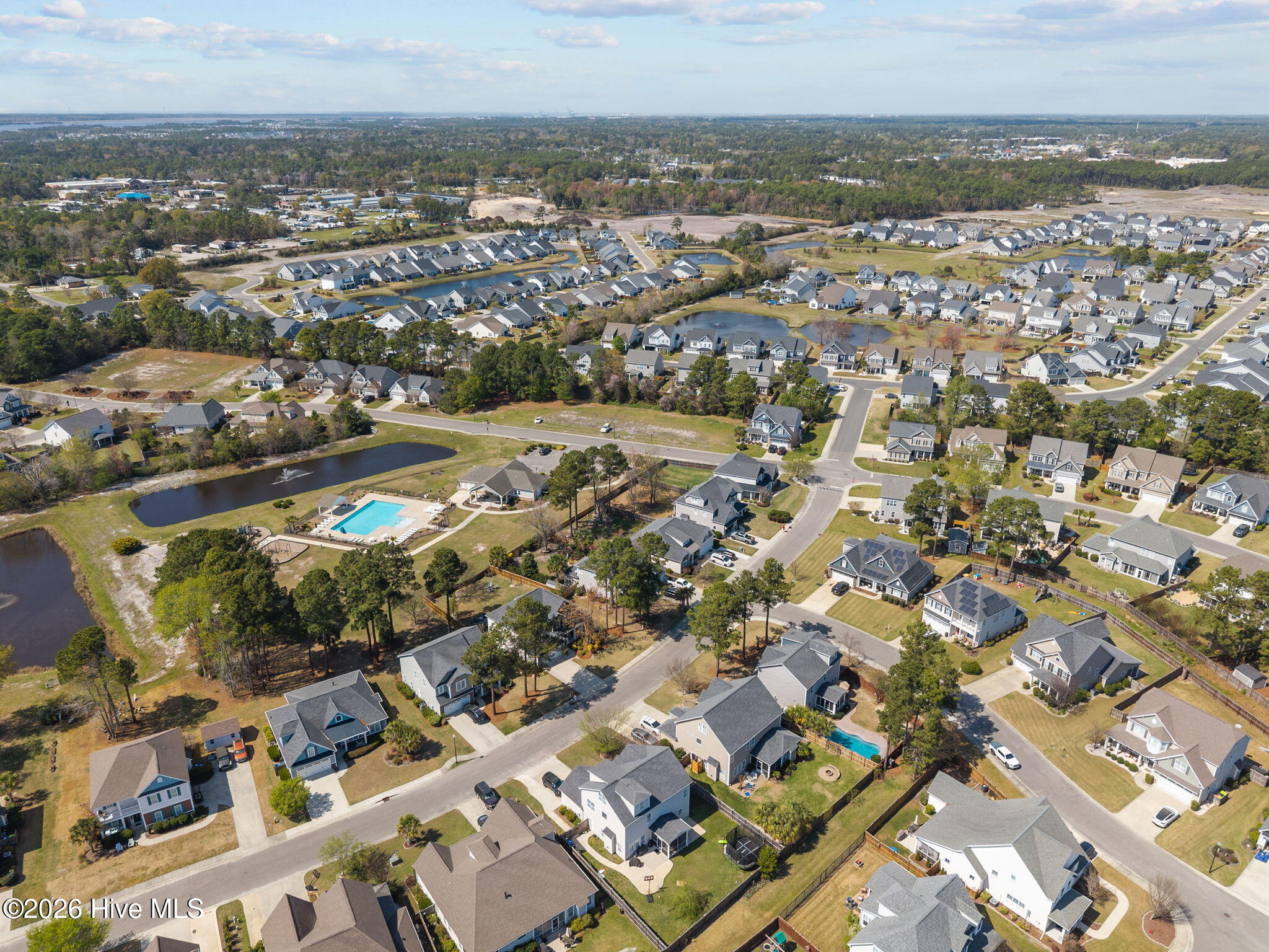 100564202 | Photo 50