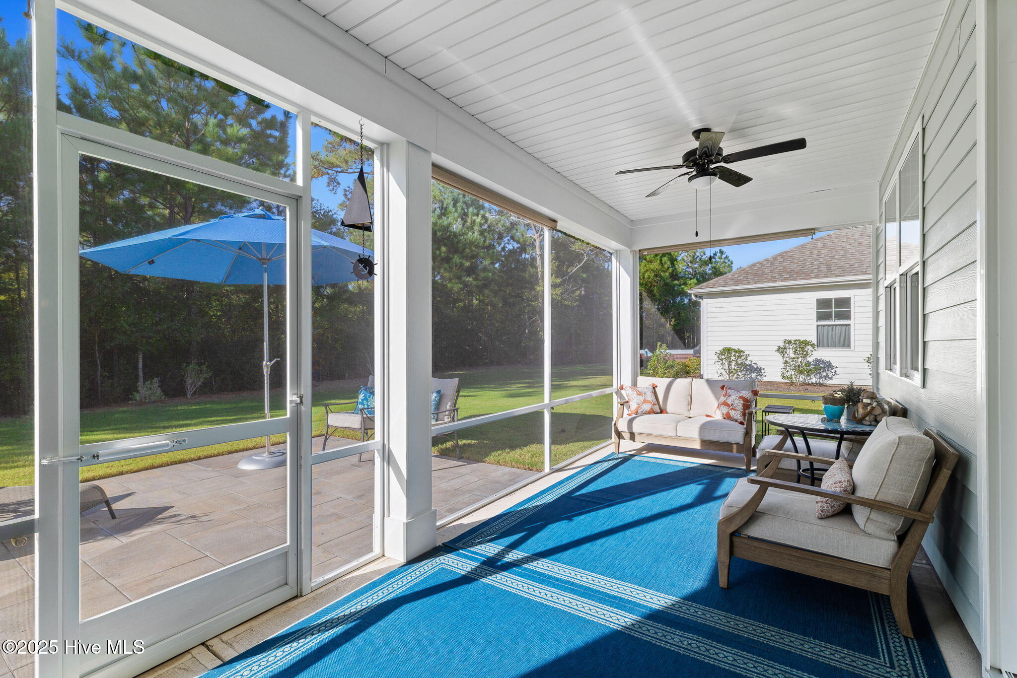 100534721 | Photo 29