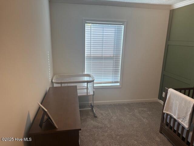 100542049 | Photo 45