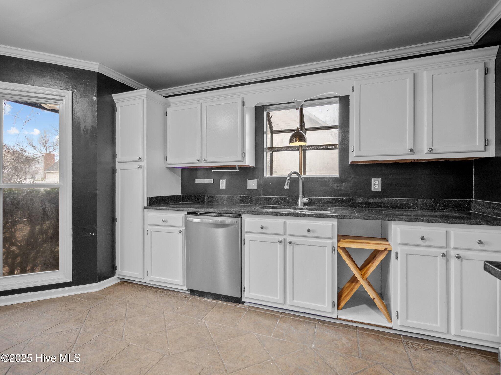 100559865 | Photo 11