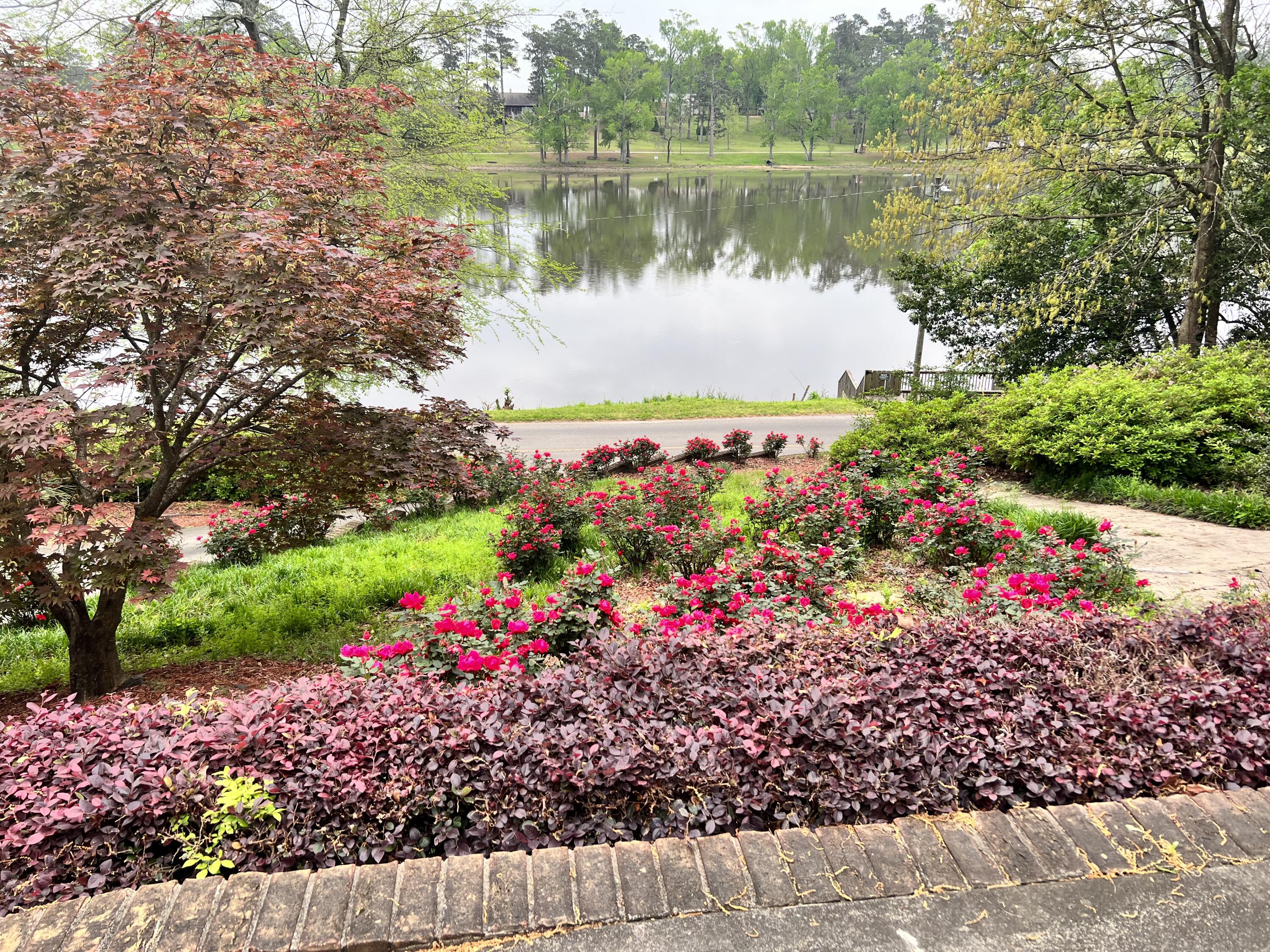 139 Lakemont Drive Drive, Augusta, GA 30904 Listing Photo  1