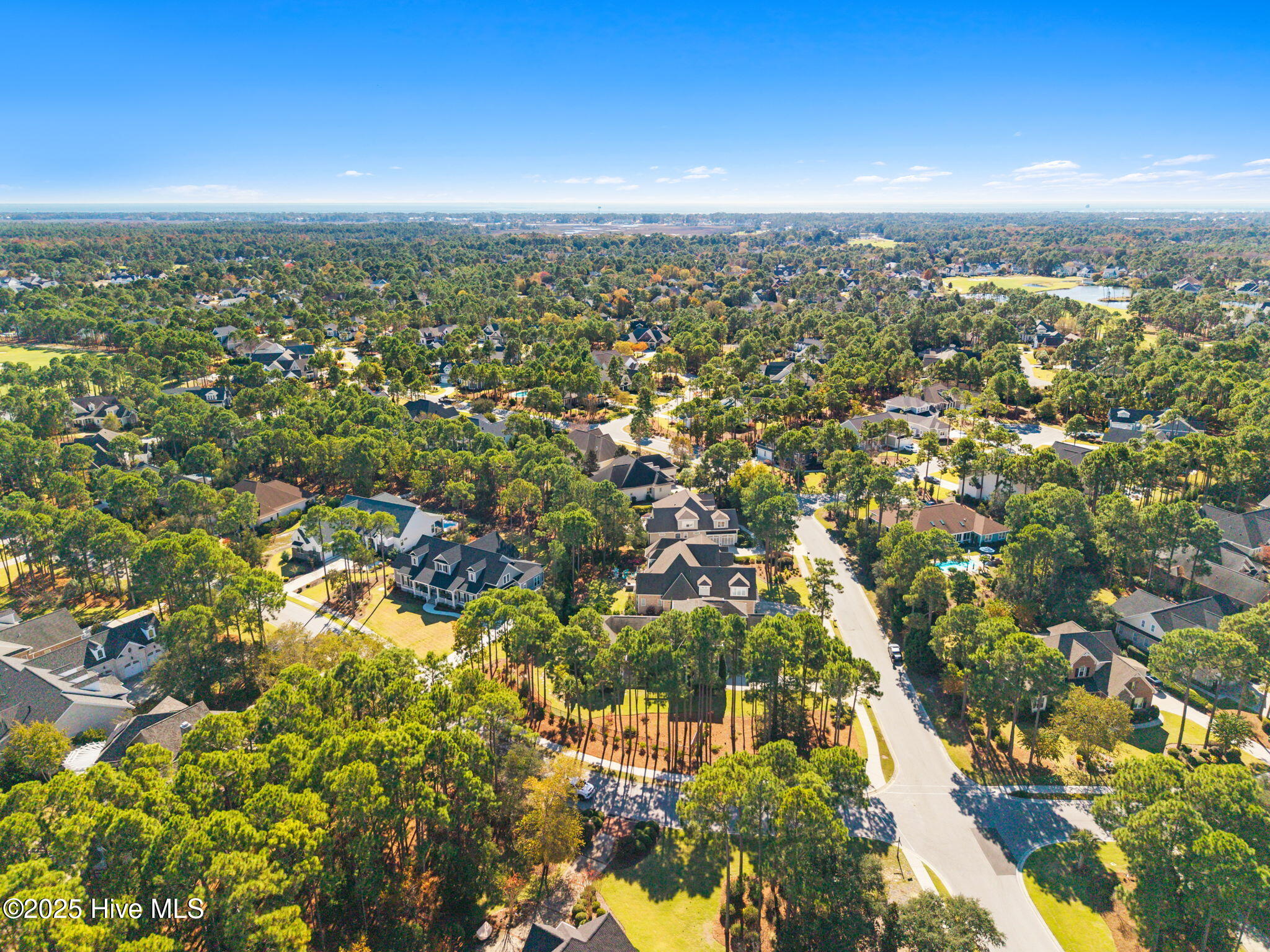 100540302 | Photo 84