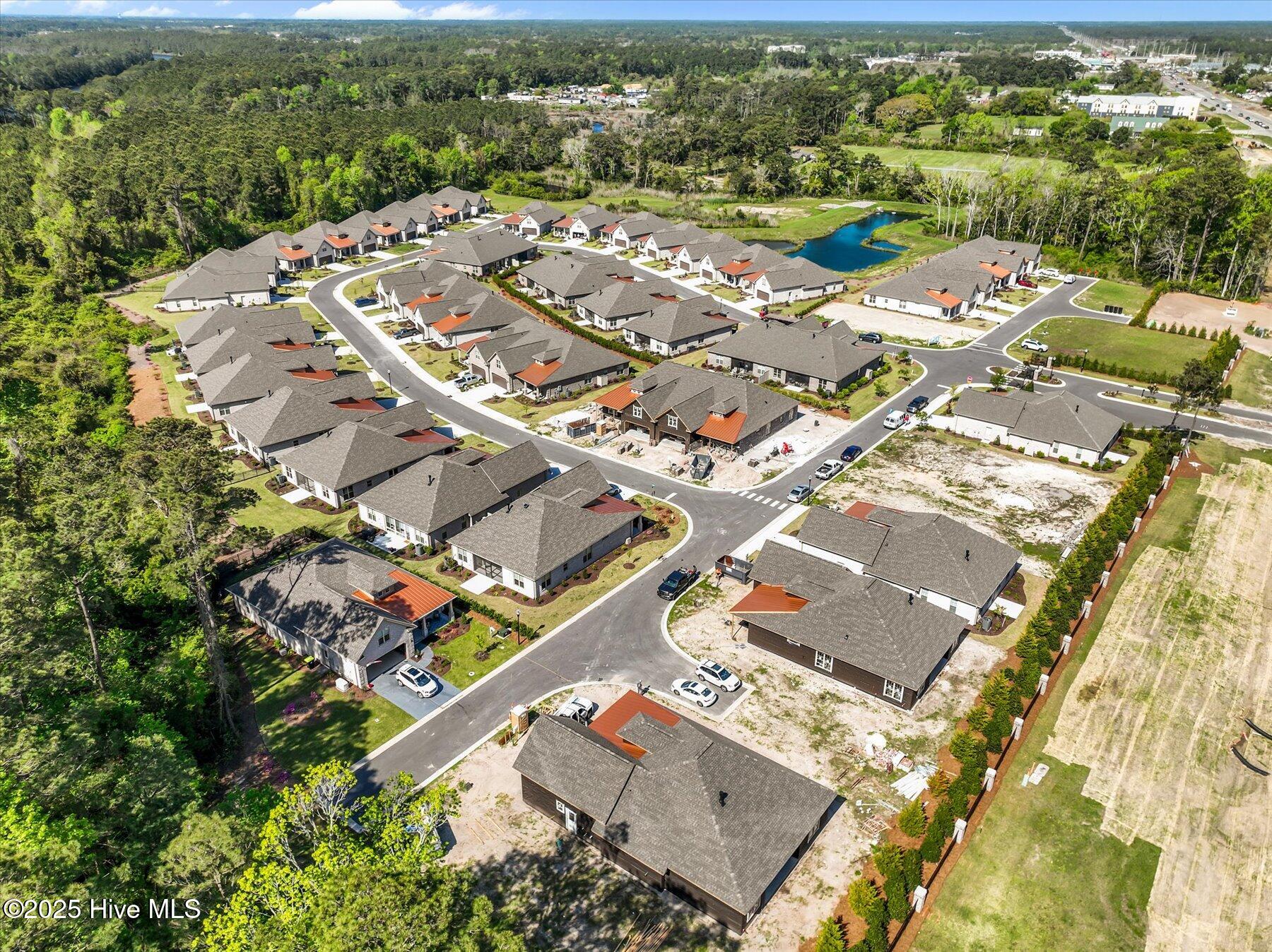 100501271 | Photo 42