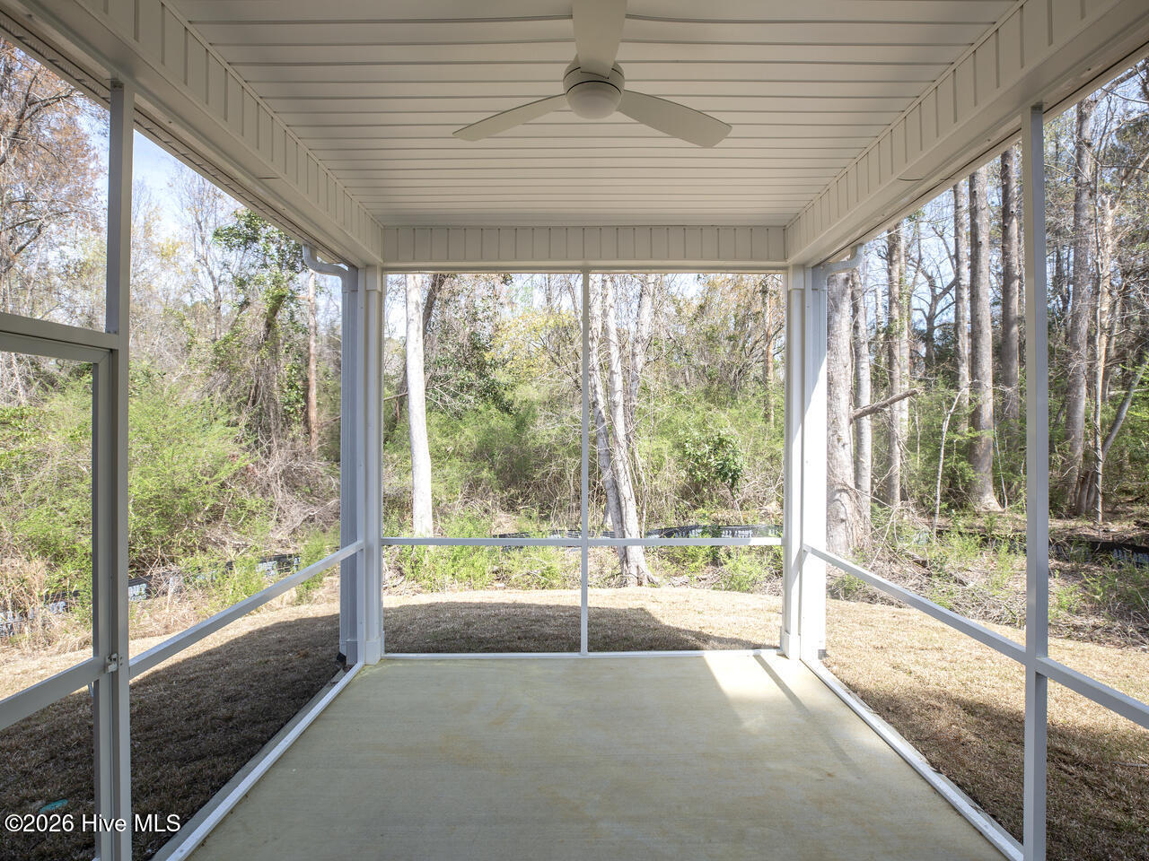 100565274 | Photo 33