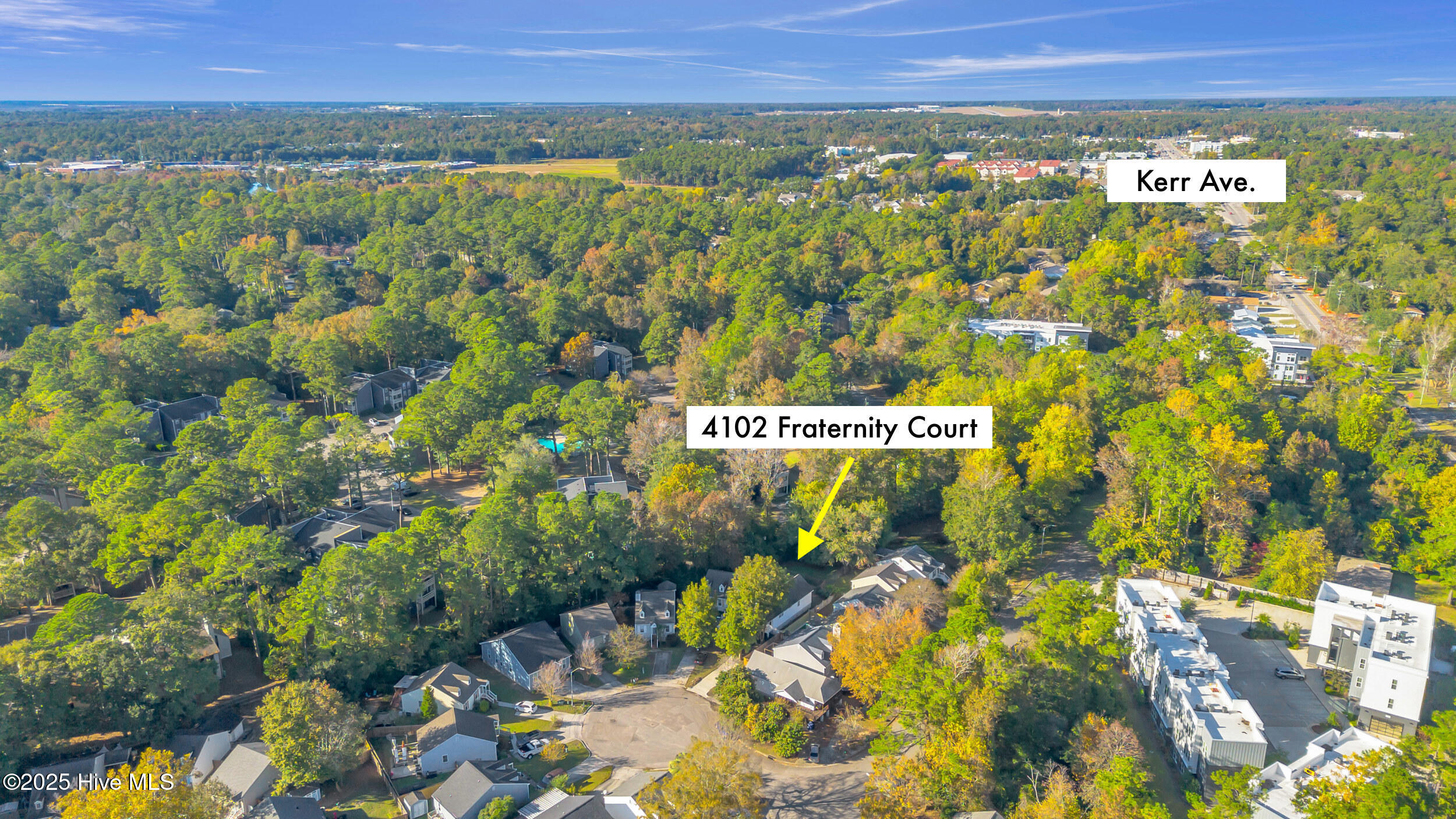 100540168 | Photo 40