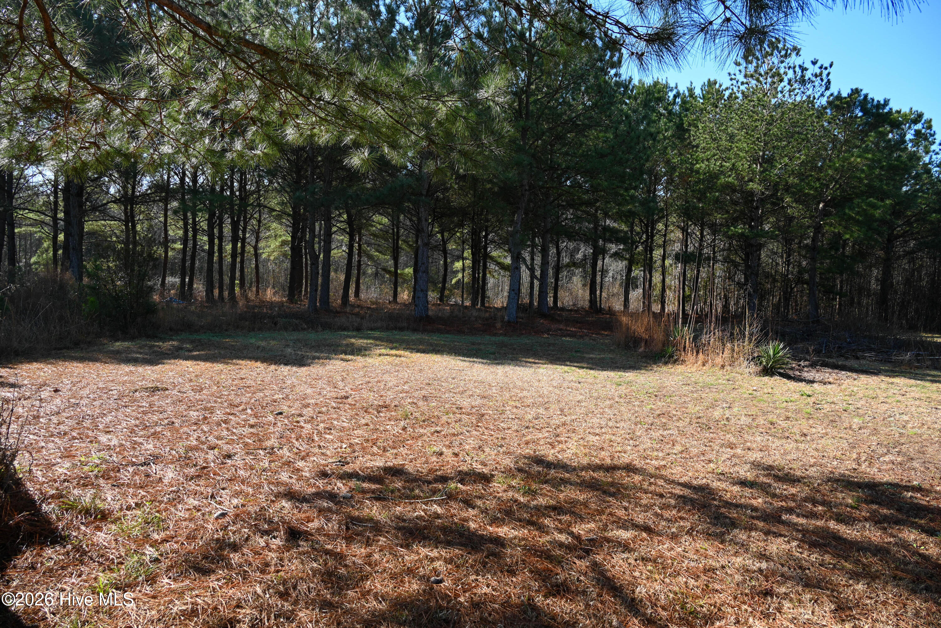 100560038 | Photo 13