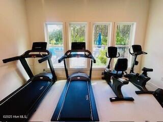 100531832 | Photo 30