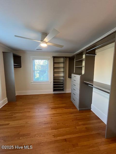 100544999 | Photo 21