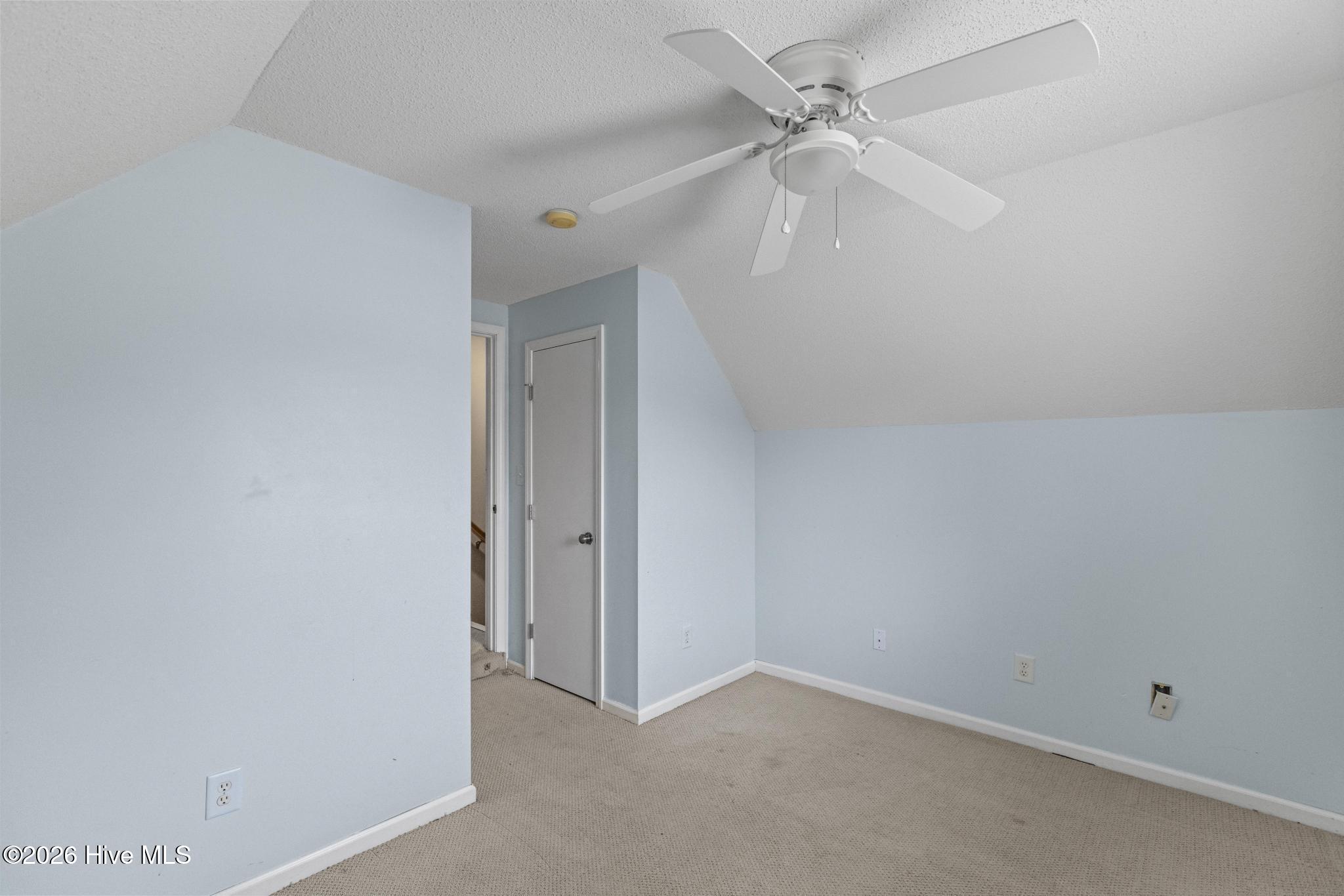 100556616 | Photo 28