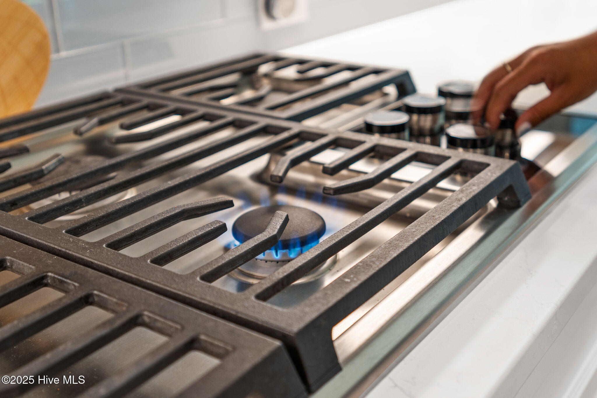 100516887 | Photo 13