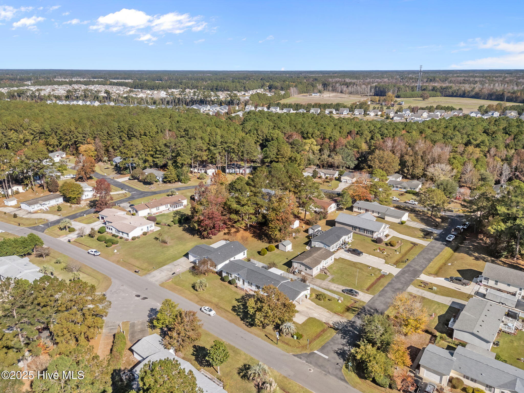 100535102 | Photo 49