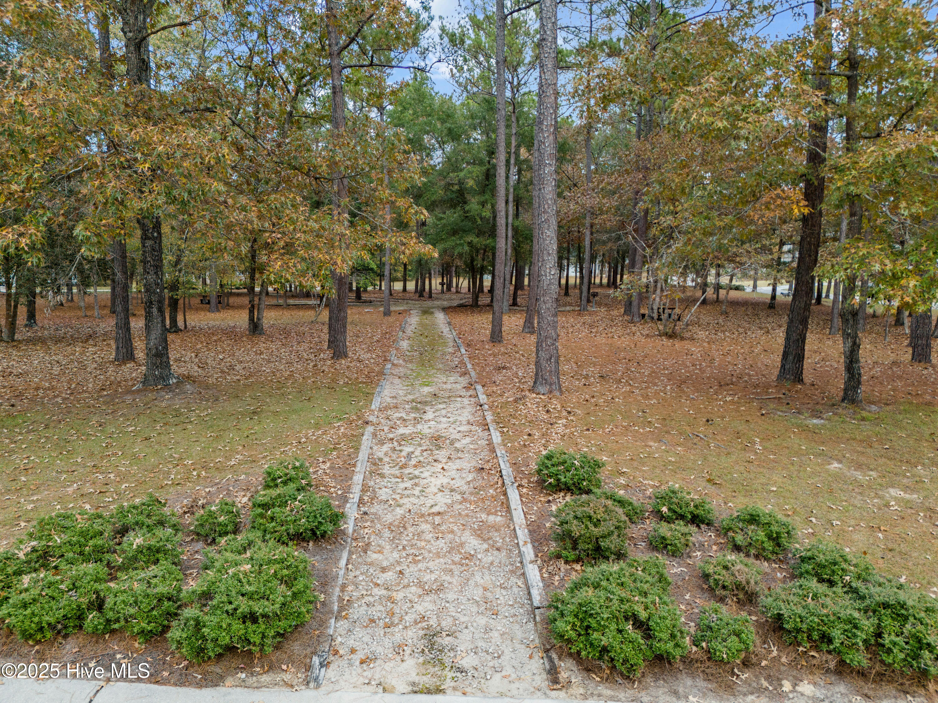 100532334 | Photo 71