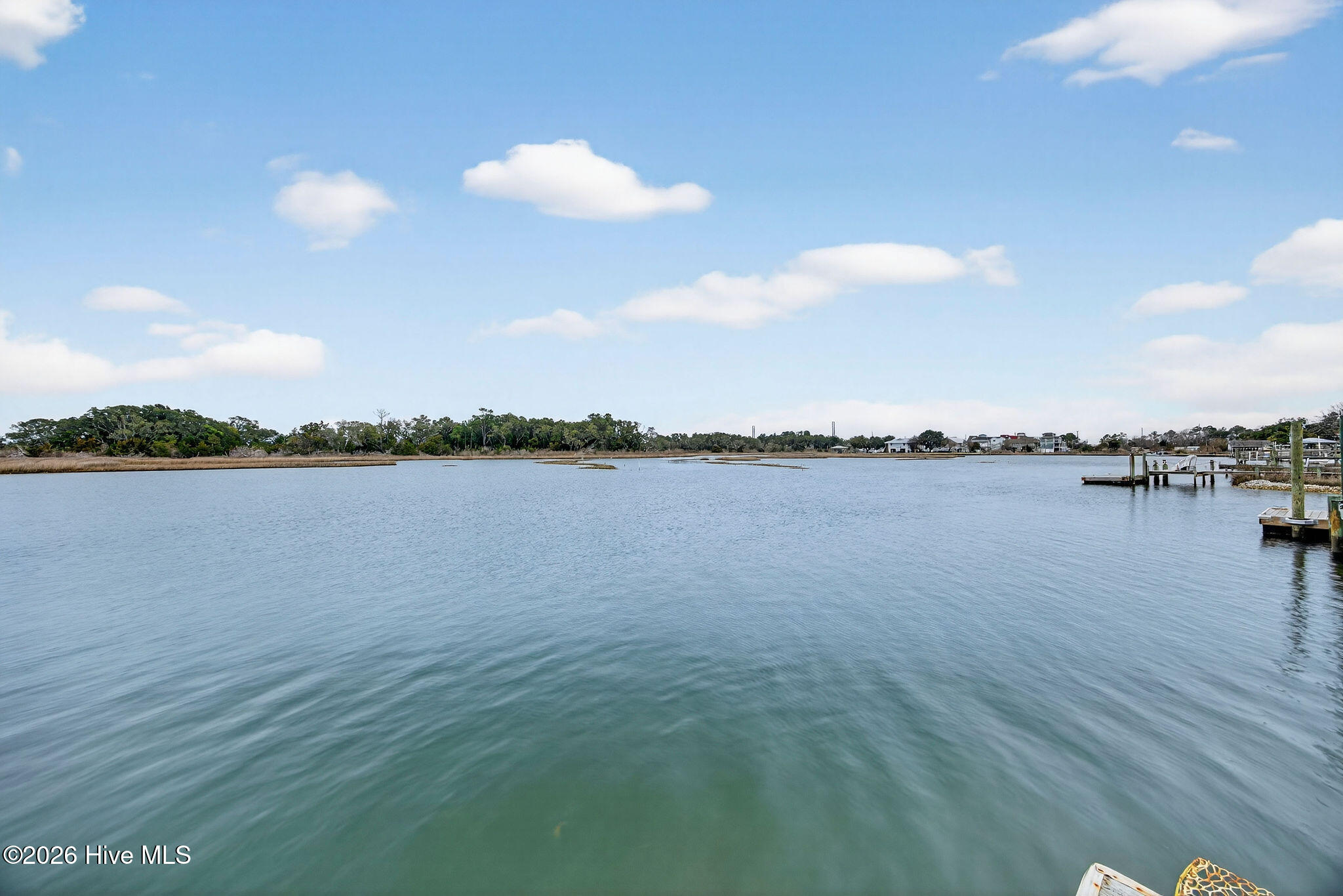 100558611 | Photo 12