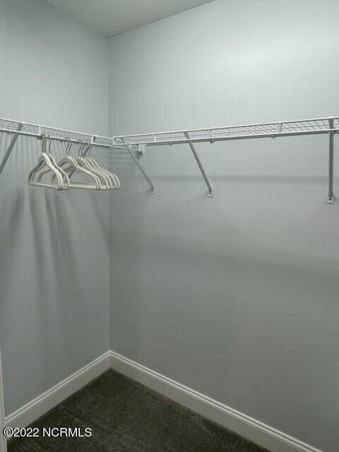 100556348 | Photo 11