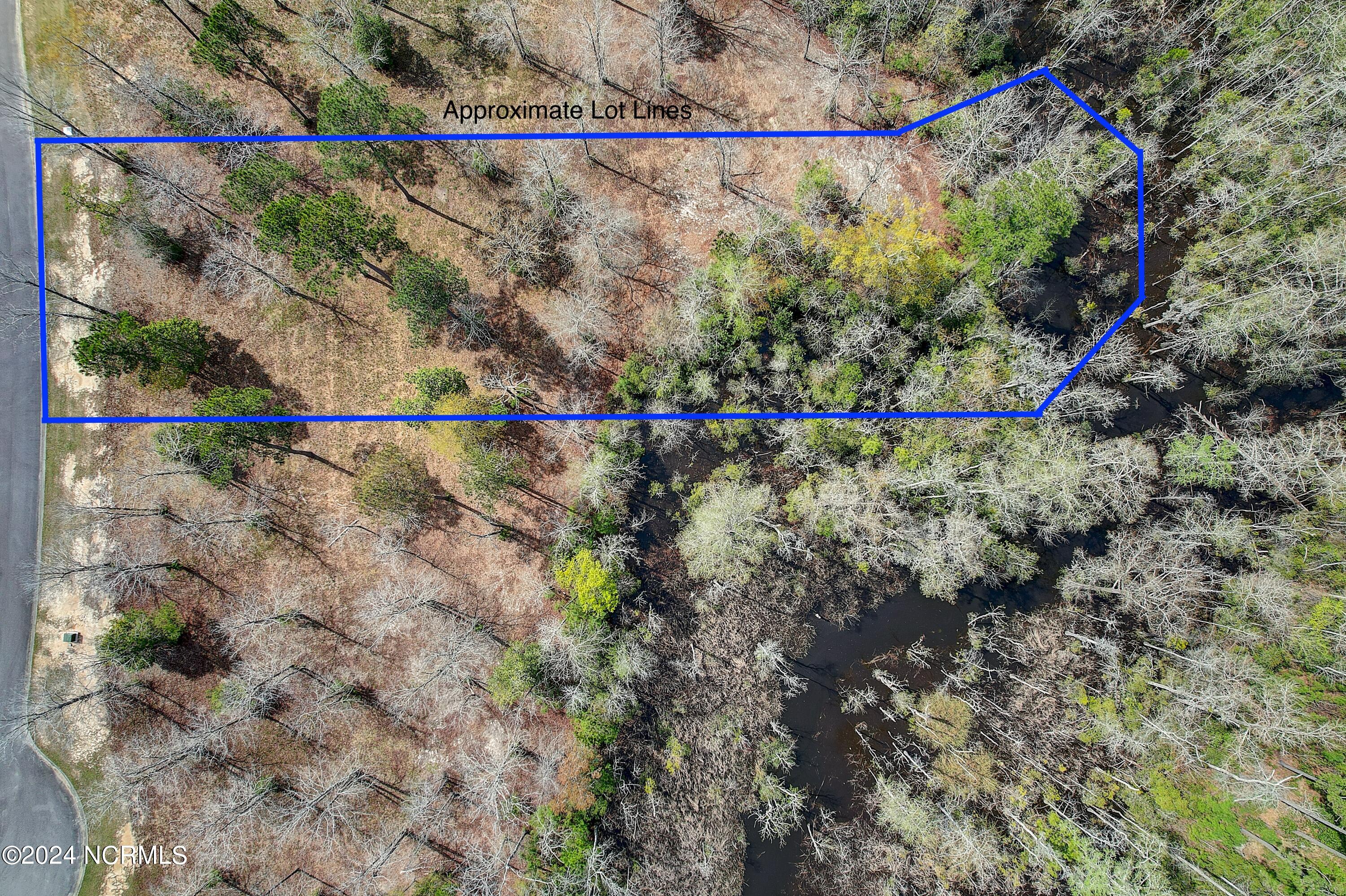 100495001 | Photo 22