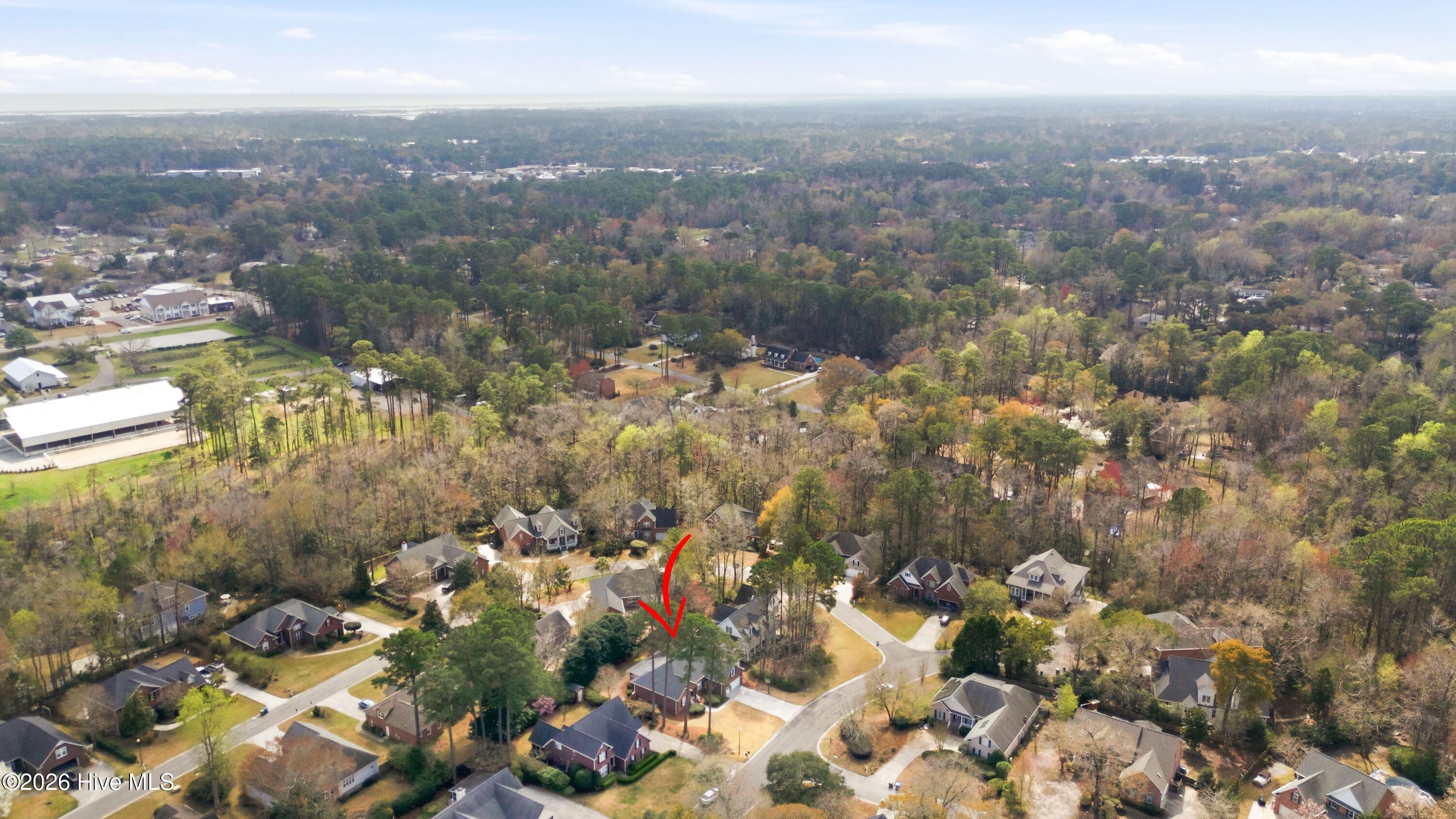 100560916 | Photo 94