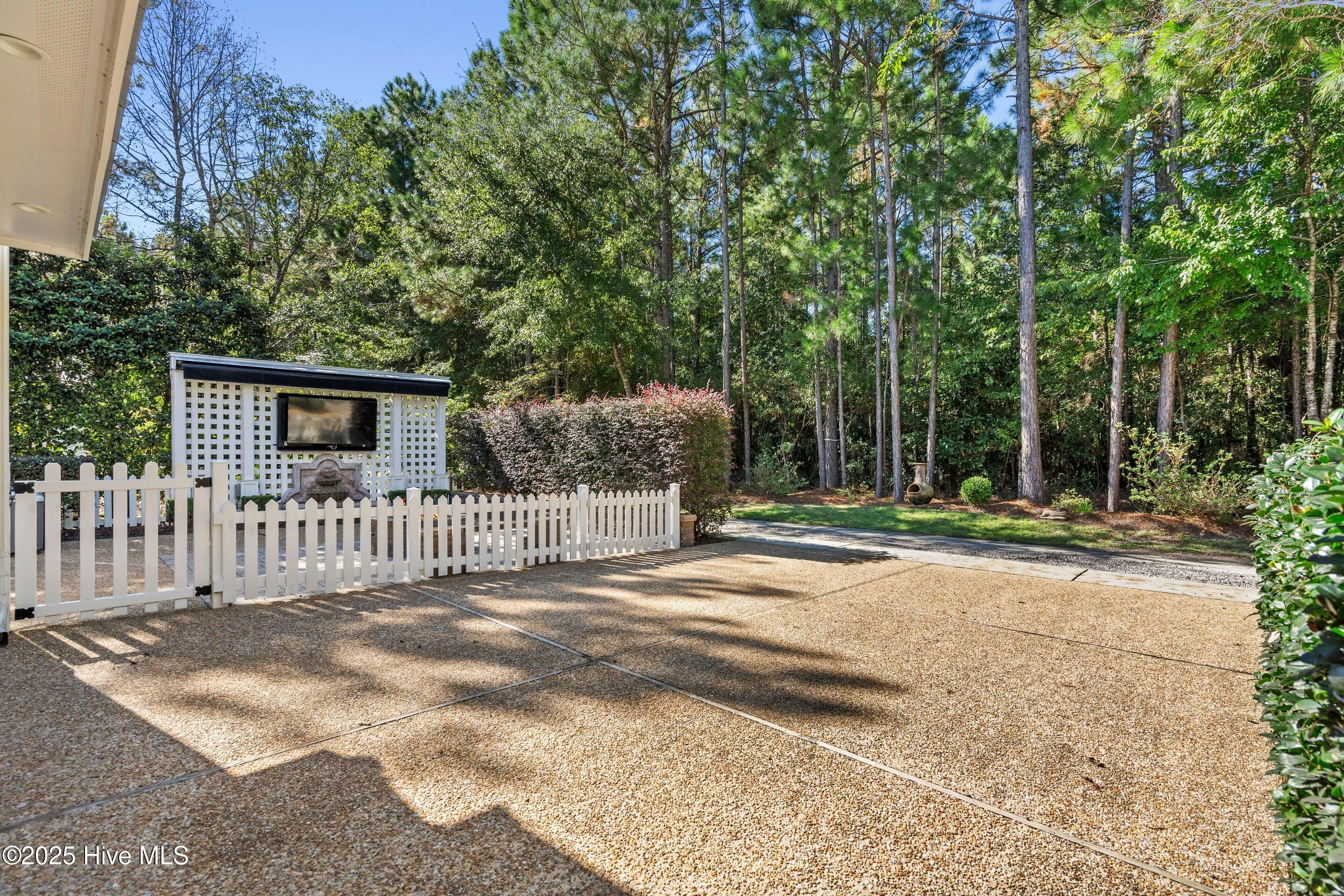 100537551 | Photo 59