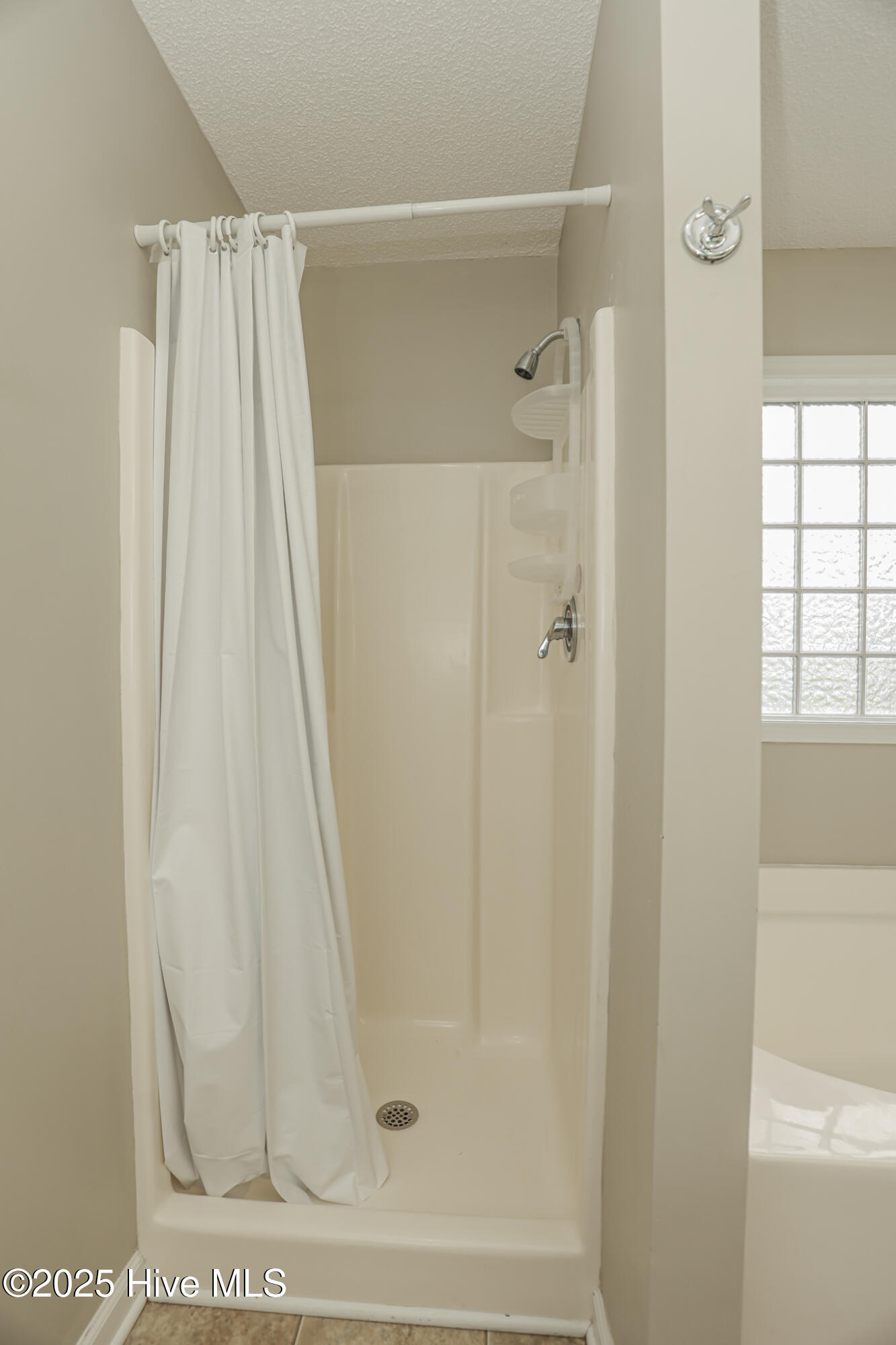 100536070 | Photo 35