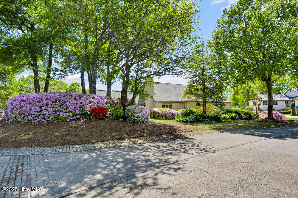 100551135 | Photo 37