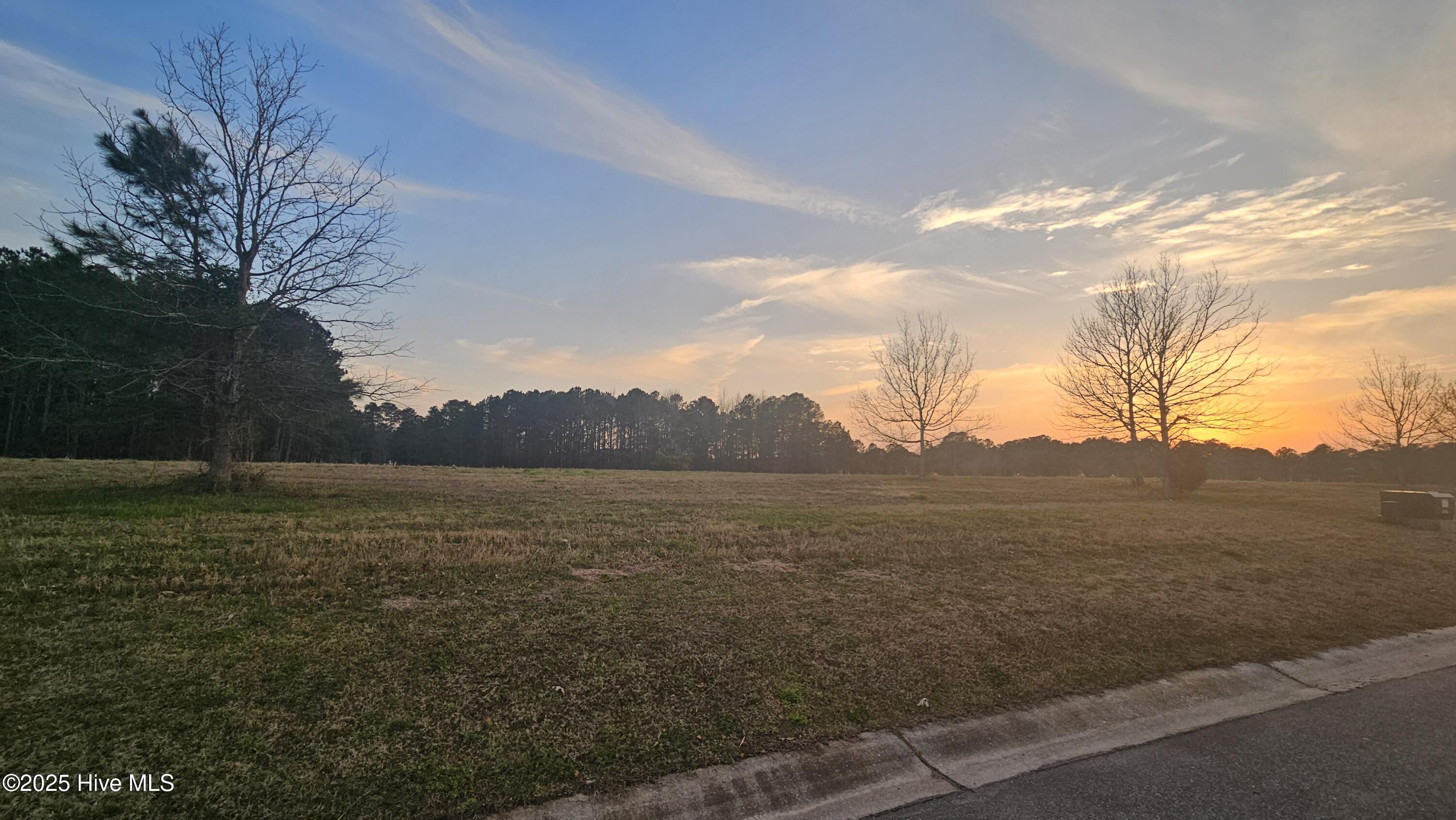 264 Red Fox Run Drive, Wallace, NC, 28466