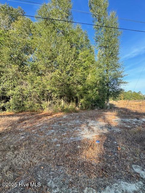 Homes for sale in Garland, NC | 0 Garland Hwy, Garland, NC 28441 | MLS# 100544855