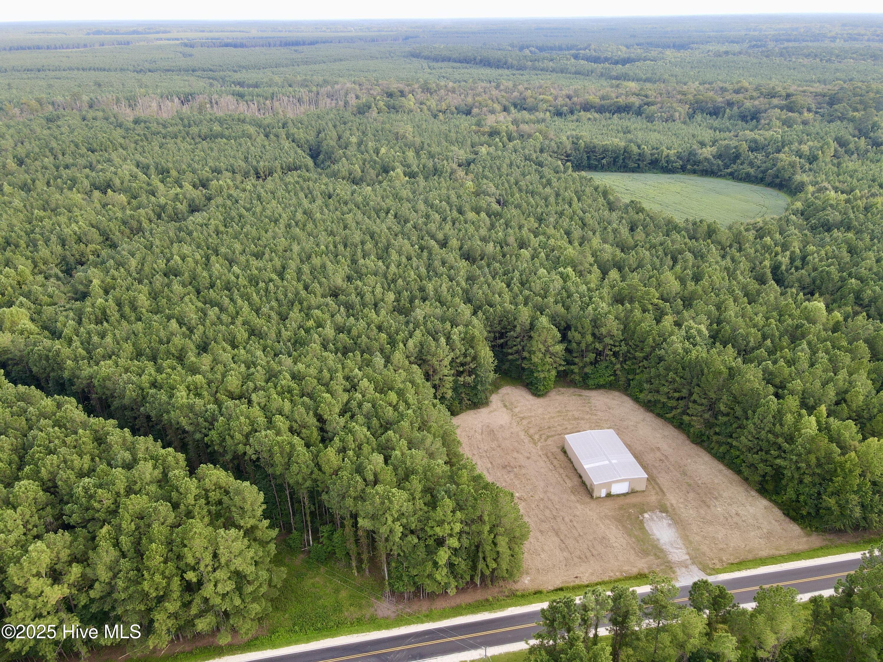 Rare opportunity! Discover 39.50 beautiful acres between Williamston and Jamesville—perfect for your country dreams. This property features a mix of pines and hardwoods, harvested for timber in 2004 and now thriving again.A large 40' x 60' metal Star building sits on a concrete slab, ready for your workshop or storage needs. There's a septic permit for a conventional 4-bedroom home, so you can start building without the wait.No zoning. No restrictions. This land is yours to use as you wish—ideal for a new home, a weekend getaway, a hunting retreat, or an investment.Note: Property is subject to a utility line easement. No electricity or water currently on site. A portion of the back of the property is located in a flood zone.Don't miss this chance for space, freedom, and possibilities in the country. Contact us today for more details or to set up a visit!