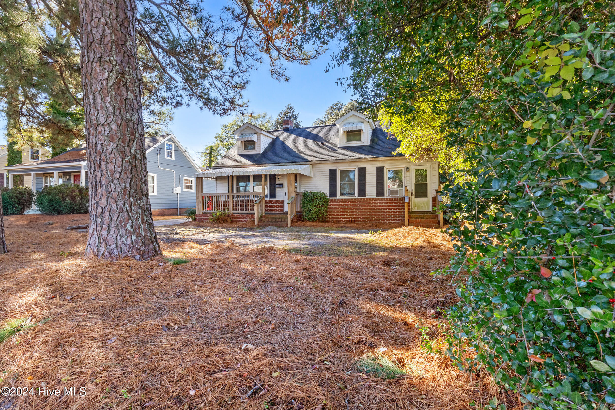 100528375 | Photo 24