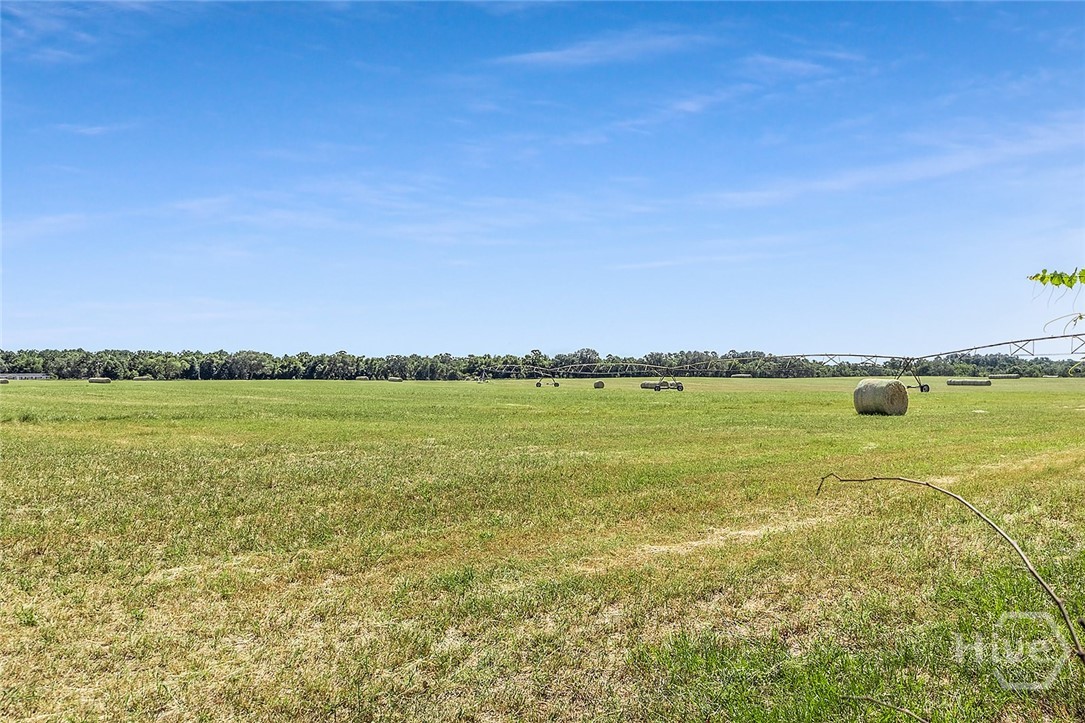 1110 W US Hwy 280, Reidsville, GA, 30453