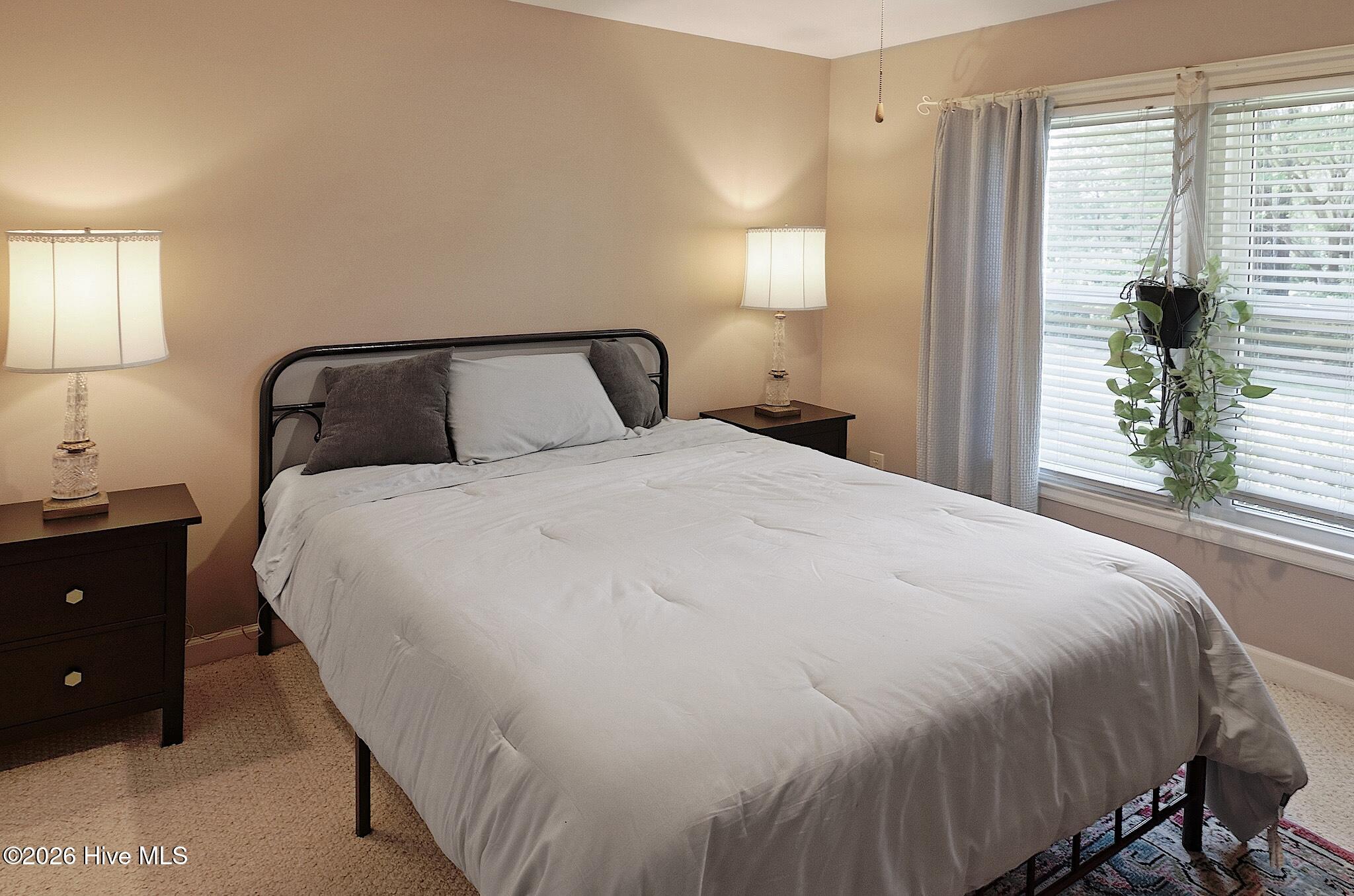 100569674 | Photo 24