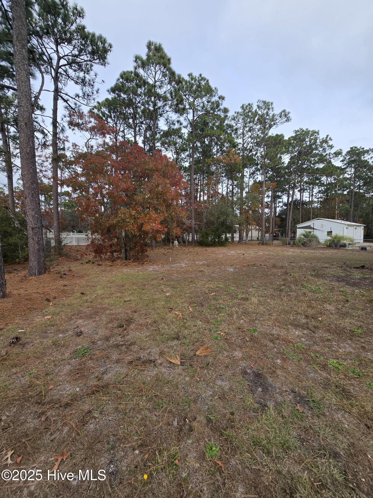 100543603 | Photo 41