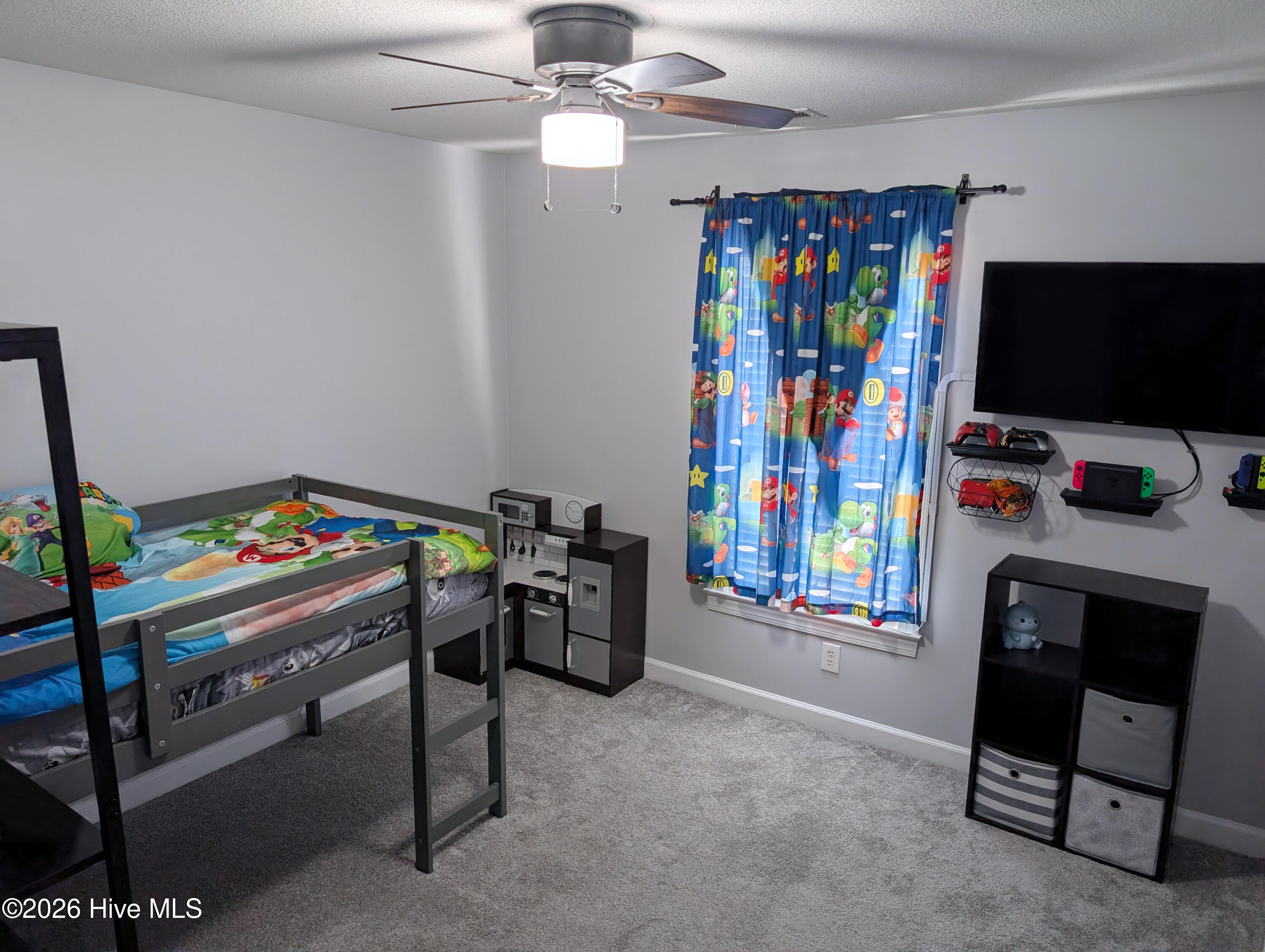 100564734 | Photo 10