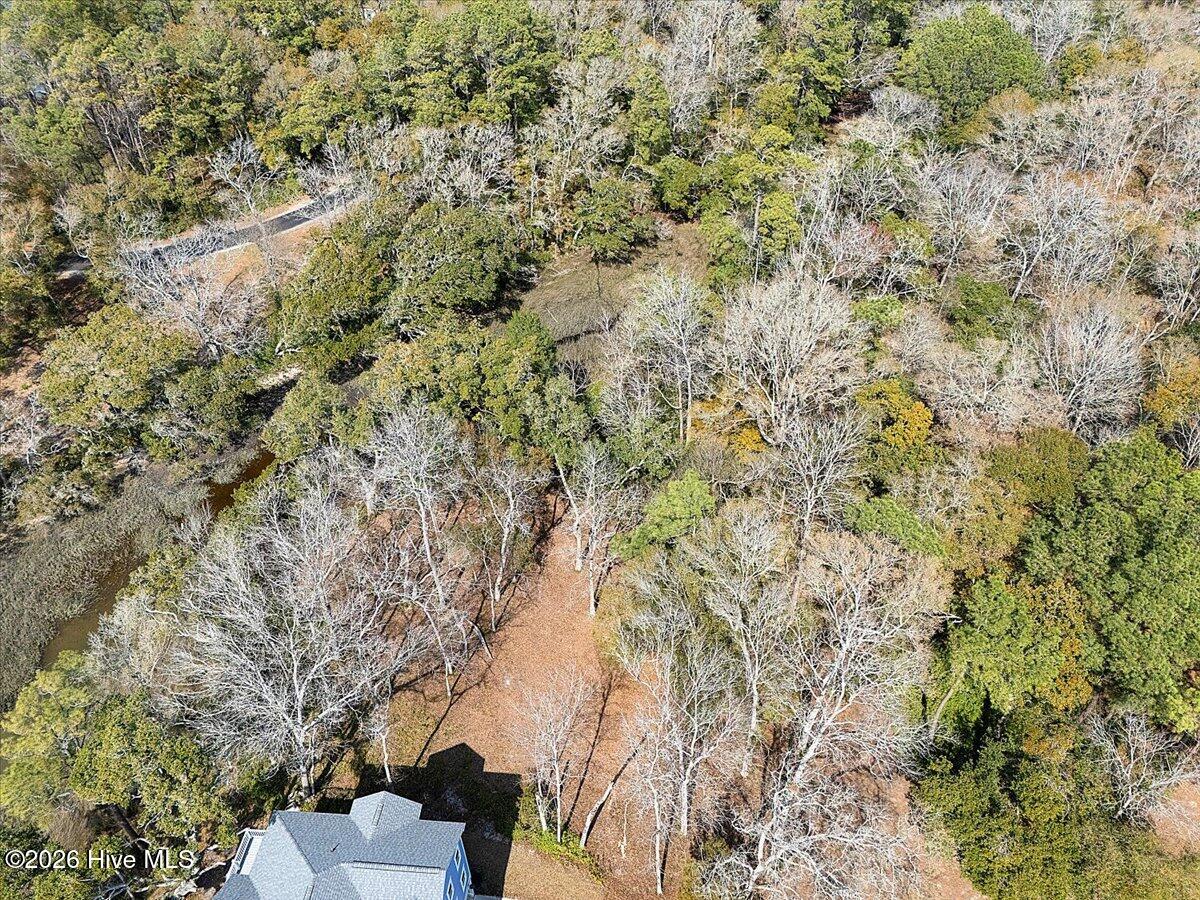 100560630 | Photo 14