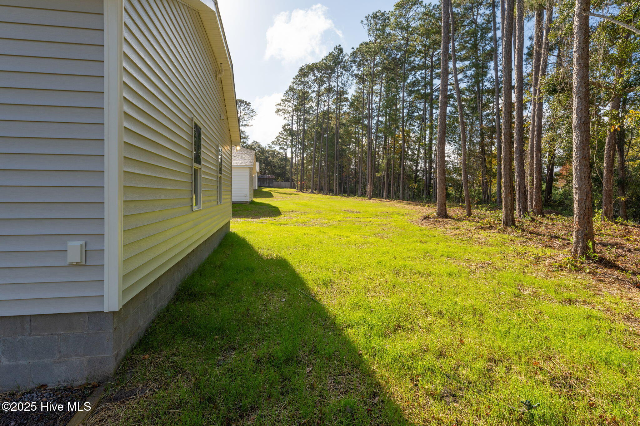 100541520 | Photo 48