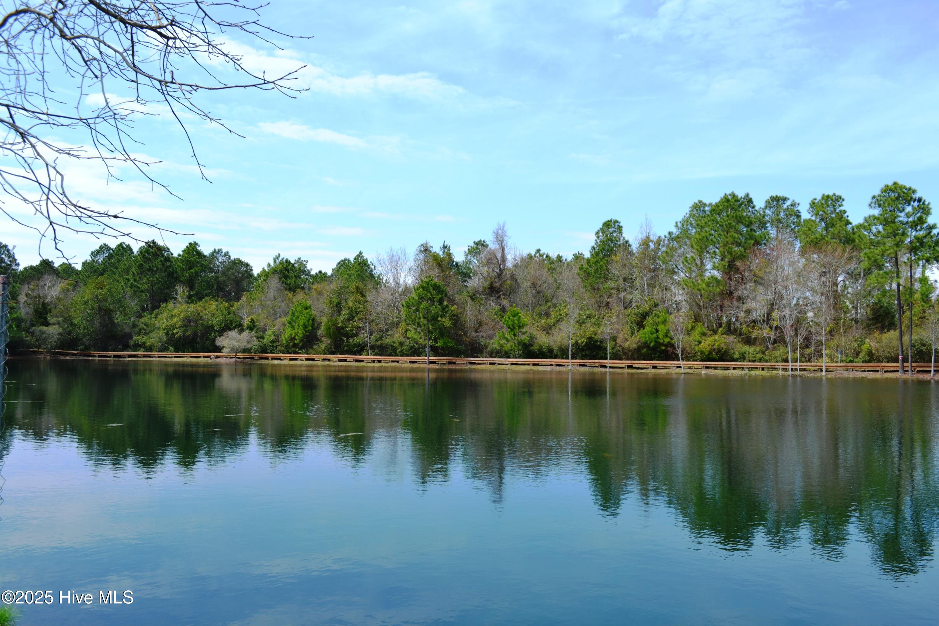 100503609 | Photo 37