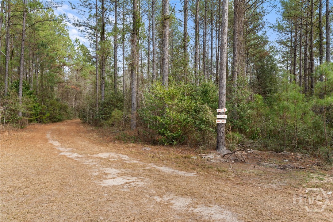 1000 Old River Road S, Brooklet, GA, 30415