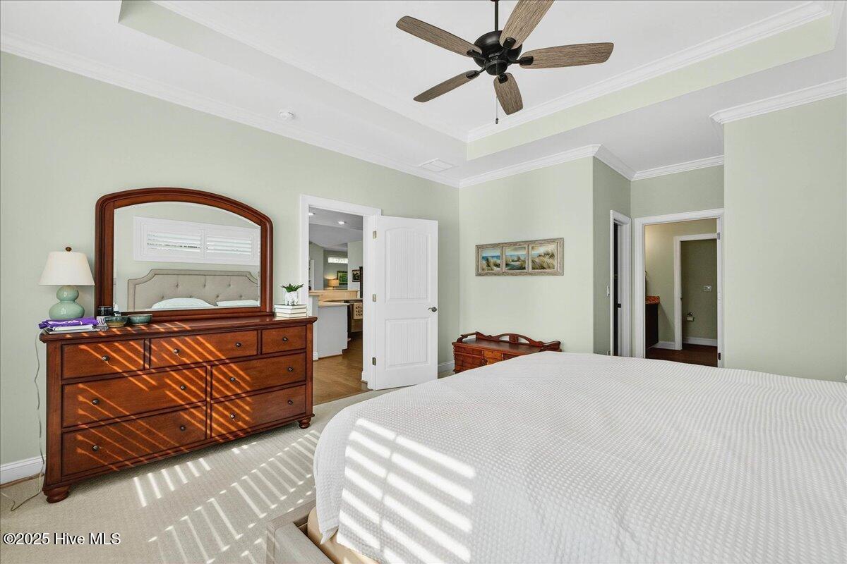 100537556 | Photo 22