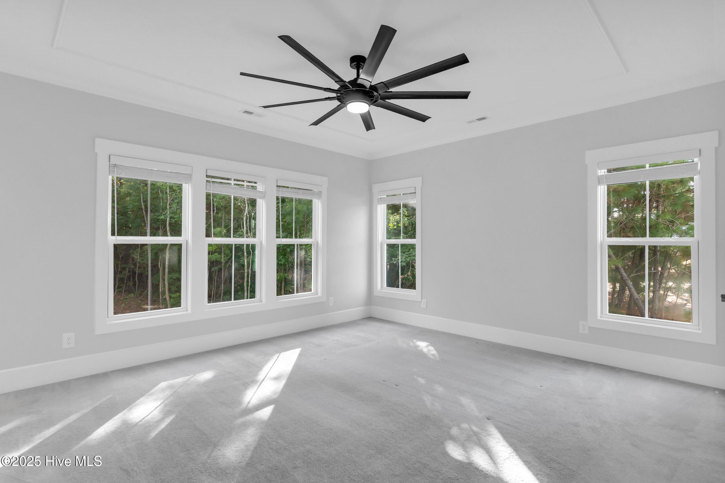 100535117 | Photo 19